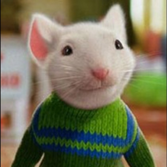 Meet your Posher, Anthony - Picture 1 of 1